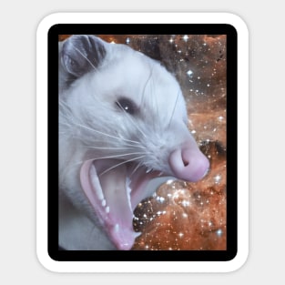 Angry possum Sticker